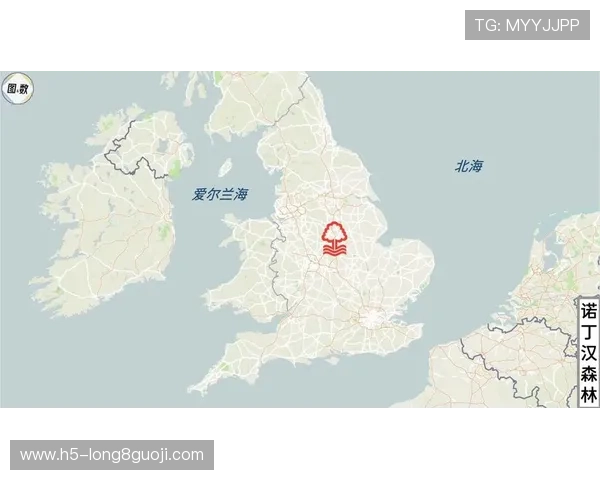 诺丁汉森林俱乐部百年传承与英超征程荣耀重塑与未来发展蓝图探析